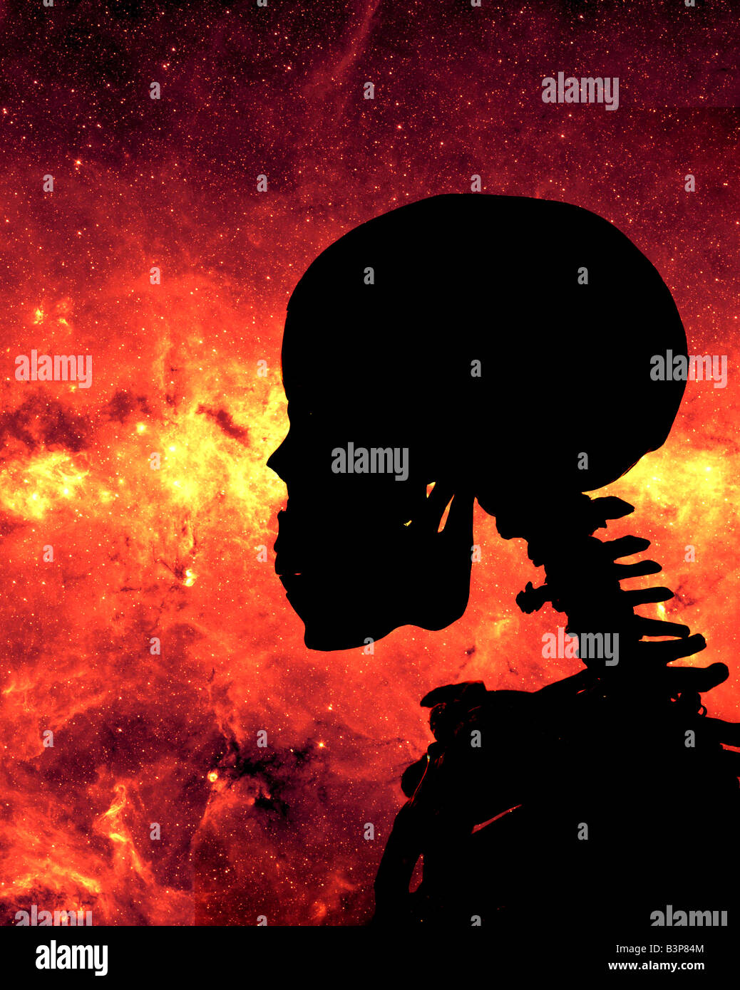 Computer generato cranio miscelato sulla galassia immagine Foto Stock