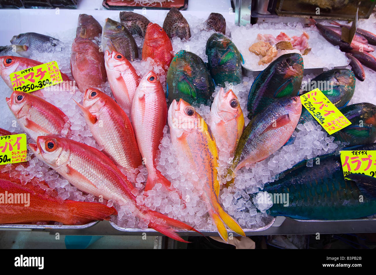Giappone Prefettura di Okinawa Naha . Ichiba dori mercato arcade, Red Snapper pesce tropicale shop Foto Stock
