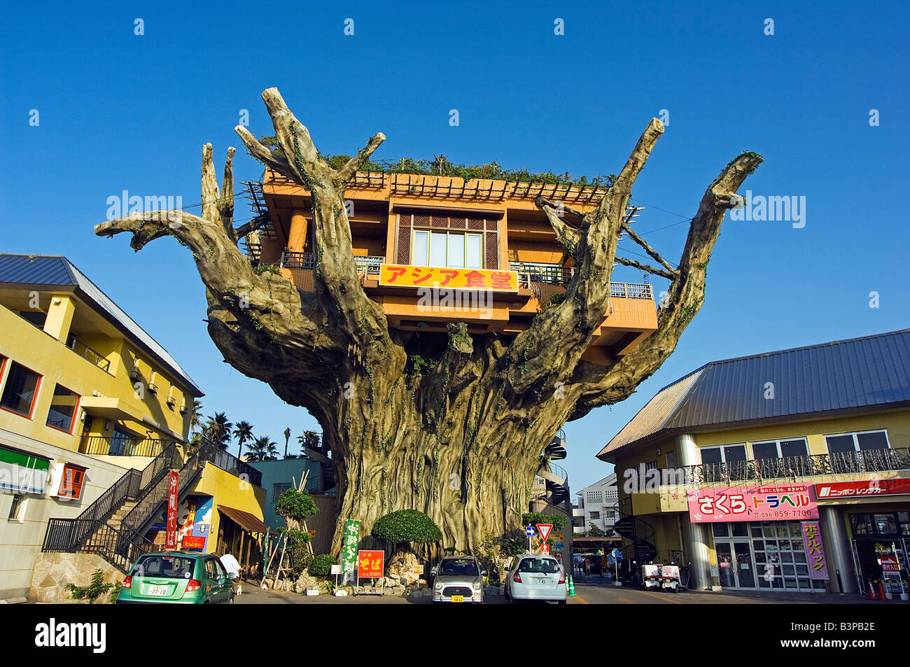 Giappone Prefettura di Okinawa Naha . Tree top ristorante su albero gigante Foto Stock