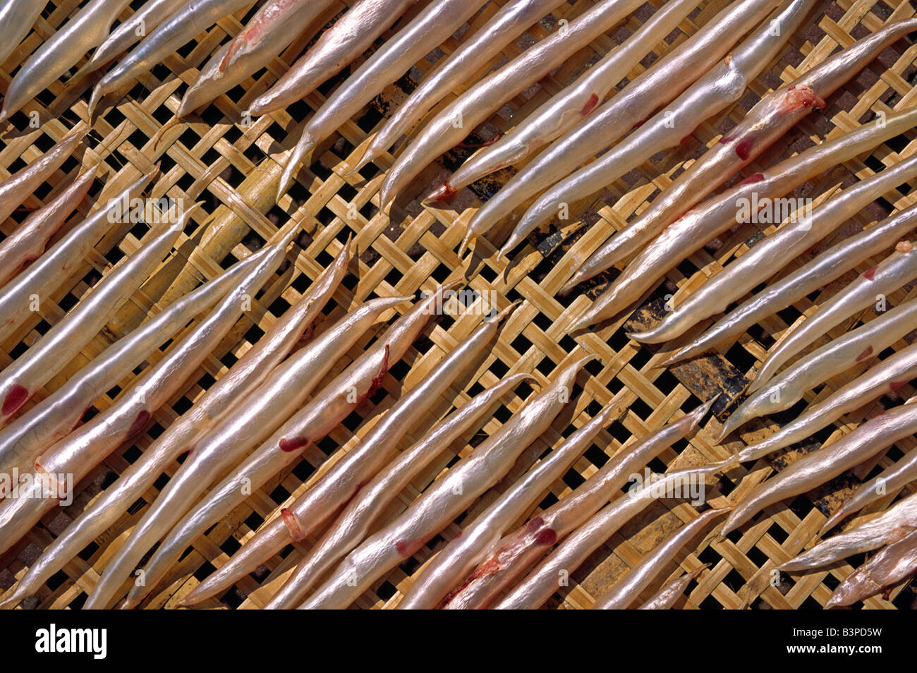 Cina. Vesciche di pesce a secco su un traliccio di bambù sul outlying island di Cheung Chau in Hong Kong. Foto Stock