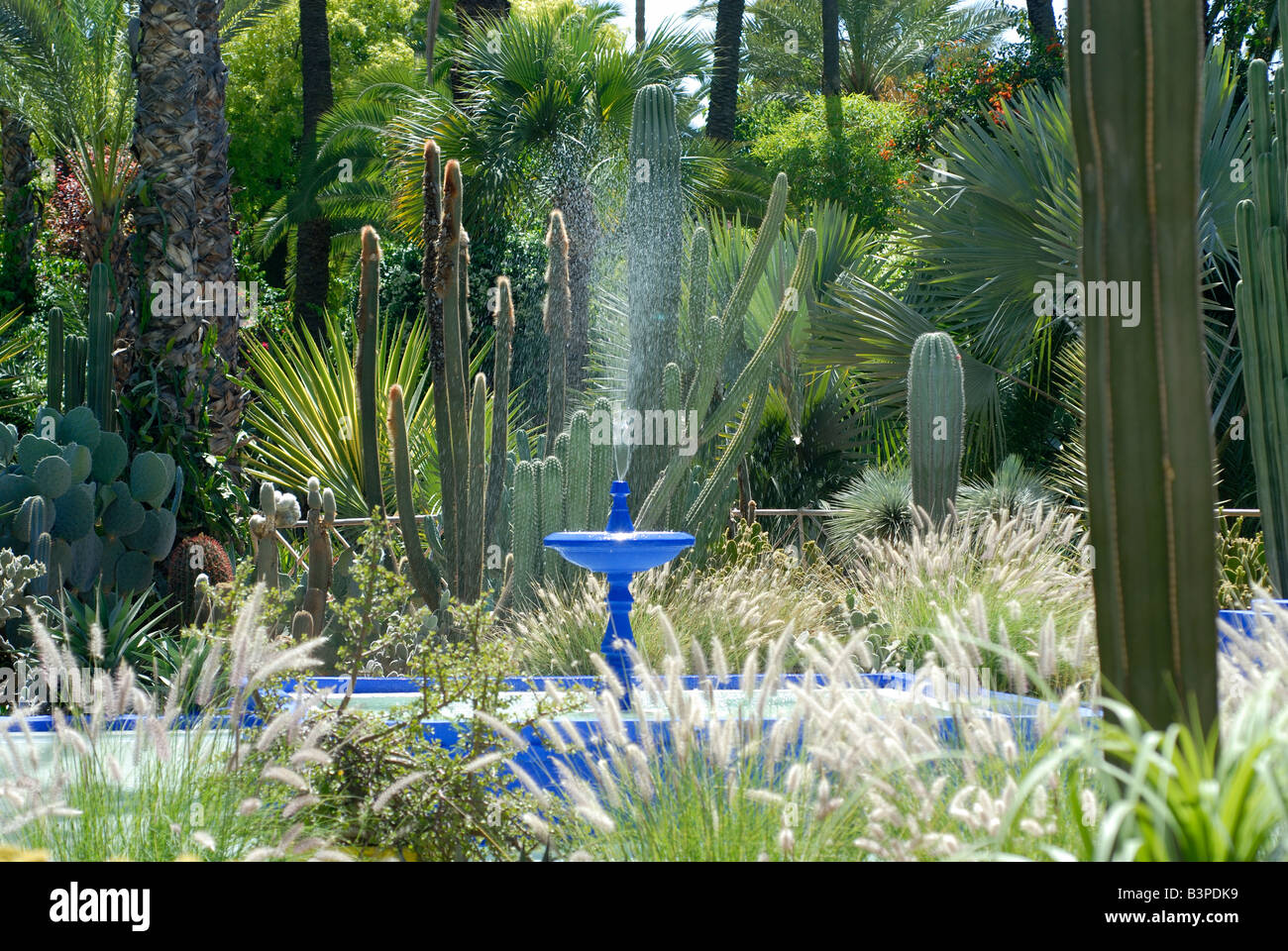 Jardin Majorelle Marrakech Giardini di Majorelle Marrakech giardini botanici di piante esotiche verde blu travel holiday fontana acqua Foto Stock
