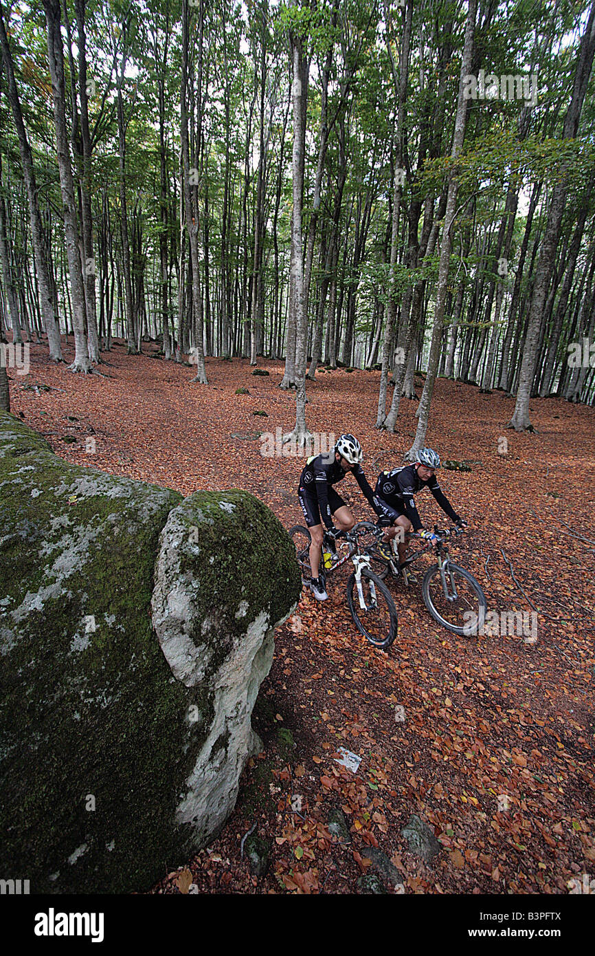 MTB in legno di faggio vicino al primo Rifugio, Abbadia San Salvatore, Monte  Amiata (lato senese) area, Toscana, Italia Foto stock - Alamy