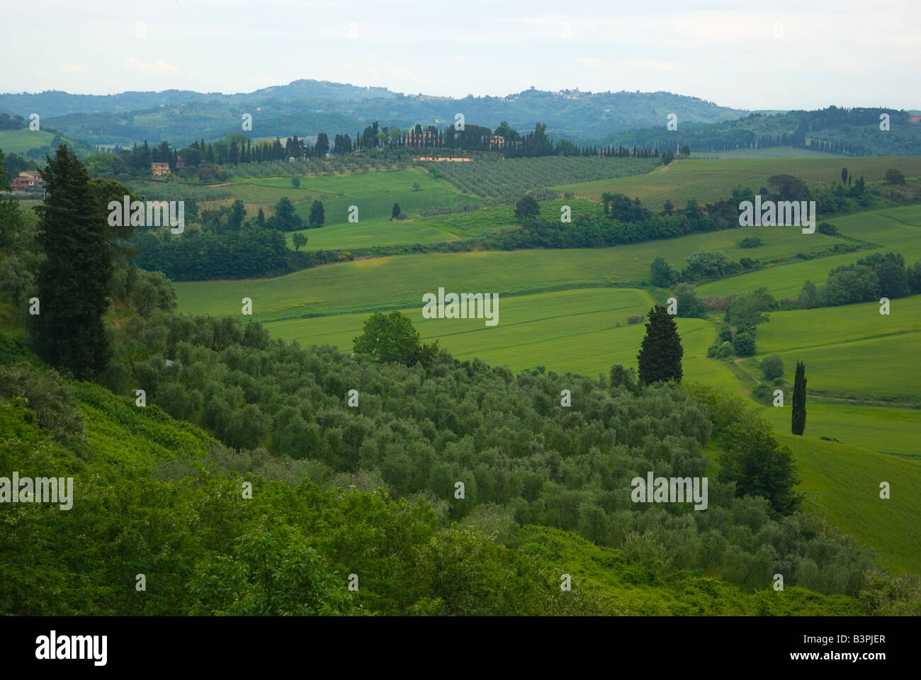 Paesaggio della Toscana, Italia Foto Stock