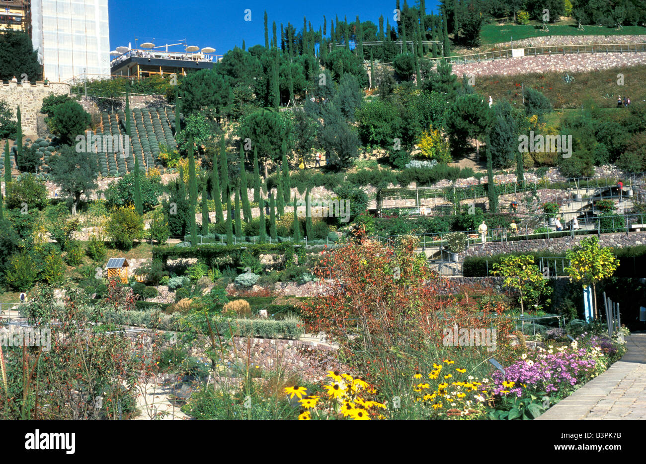 Apartments Paradiso44