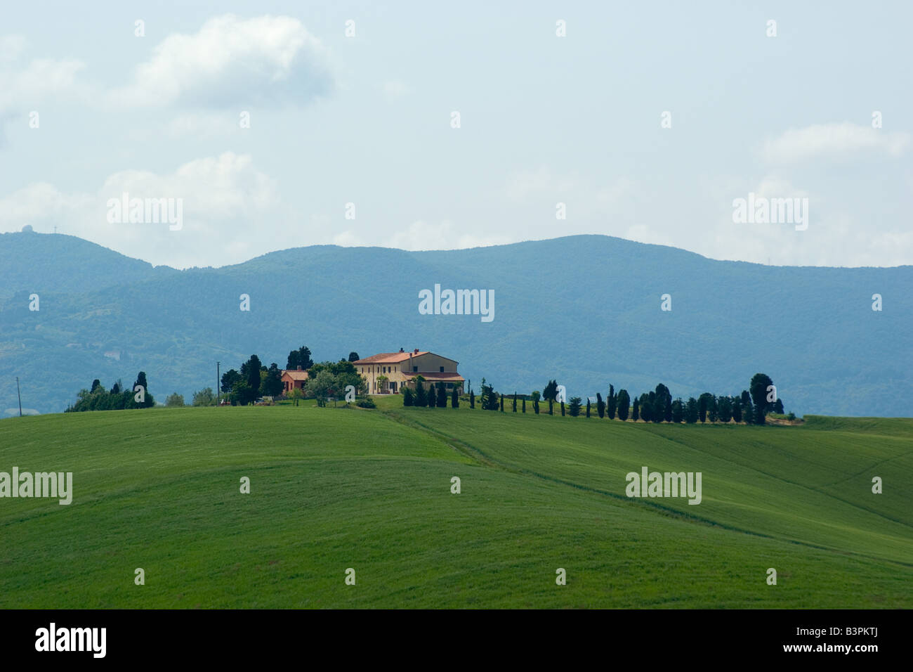 Paesaggio della Toscana, Italia Foto Stock