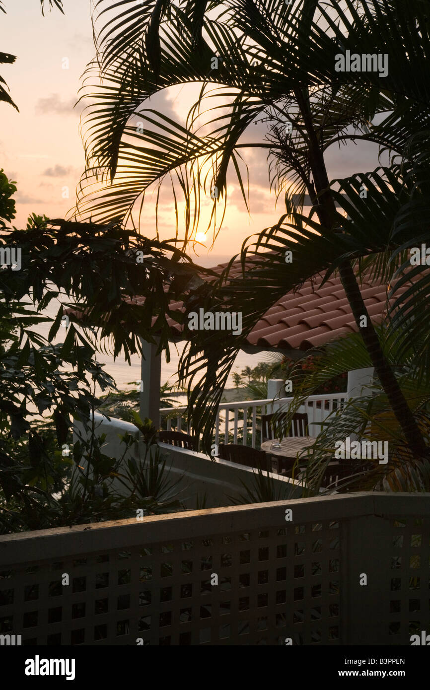 Tramonto attraverso gli alberi di palme, Windjammer Landing, St Lucia, 'West Indies' Foto Stock