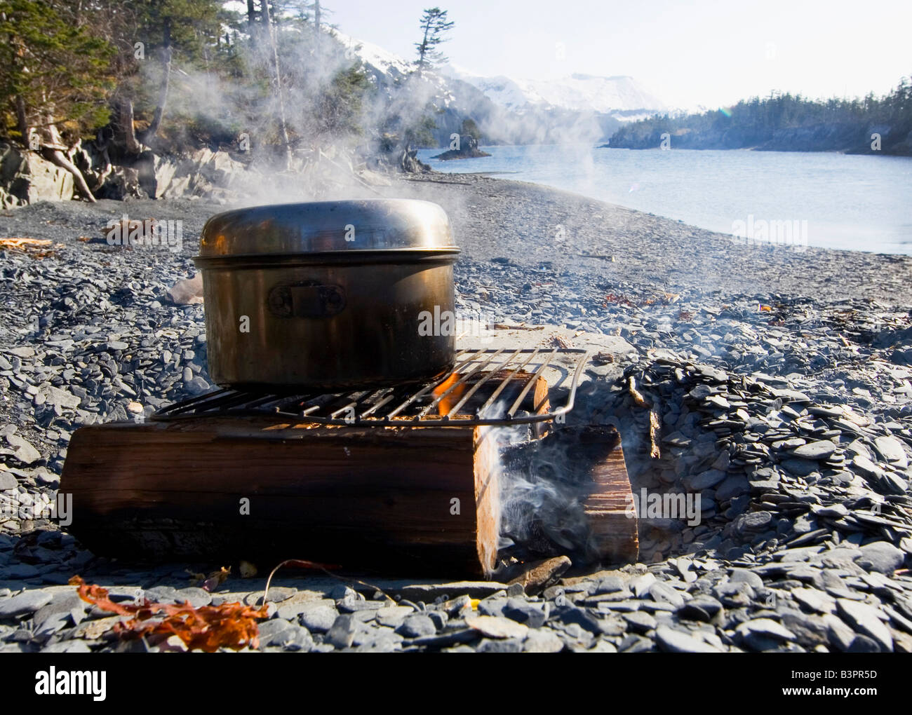 Pentola per la cottura a vapore su un falò, spiaggia, sera, Pacific Coast,  Prince William Sound, Alaska, STATI UNITI D'AMERICA Foto stock - Alamy
