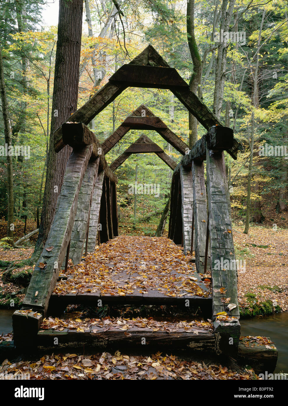 Piede legno ponte sul torrente di cucina, Ricketts Glen State Park (13,050 acri), Pennsylvania, Stati Uniti d'America Foto Stock