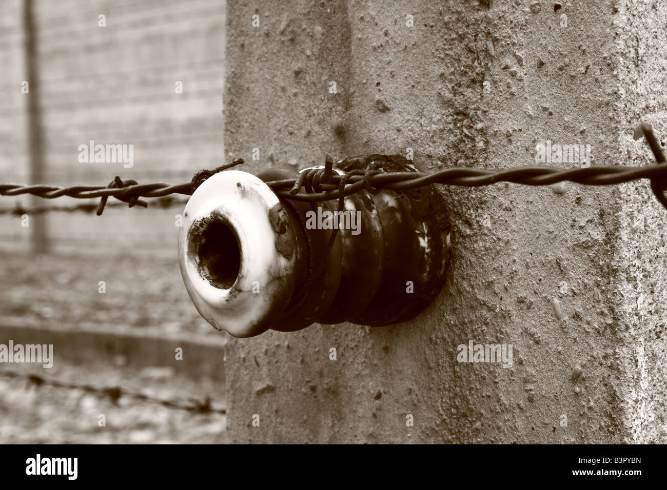 Dettaglio di reticolati di filo spinato al campo di concentramento di Auschwitz vicino a Cracovia in Polonia Foto Stock