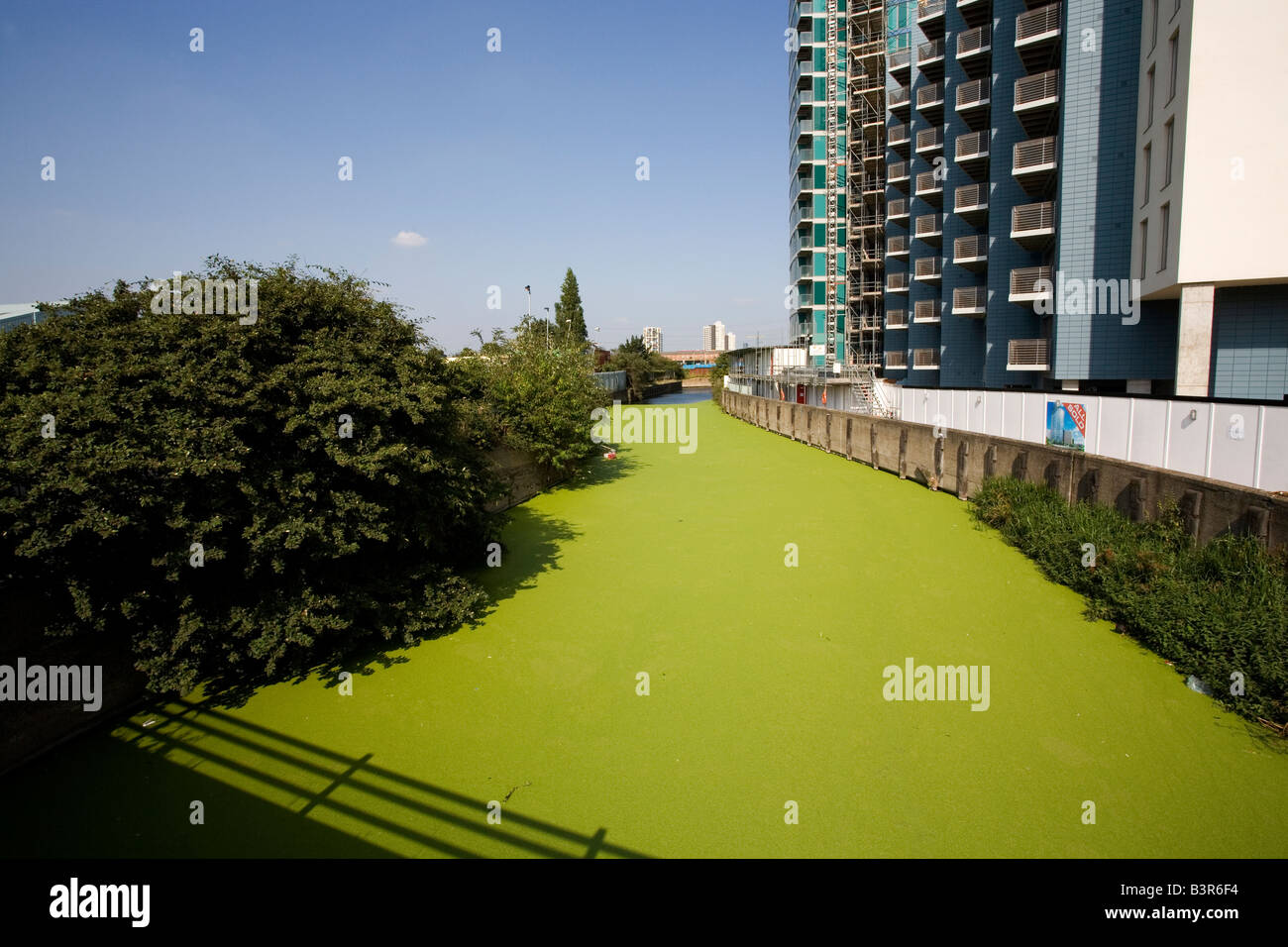 Edifici e il fiume Lea, una verde Alghe di palude di acqua su Cook Street vicino dal mulino budino nella Lower Lea Valley Foto Stock