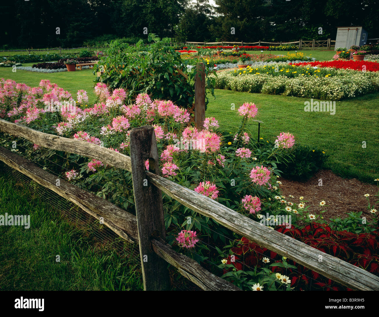 BURPEE semi giardini sperimentali all'INN AT FORDHOOK FARM, DOYLESTOWN, Pennsylvania, Stati Uniti d'America Foto Stock