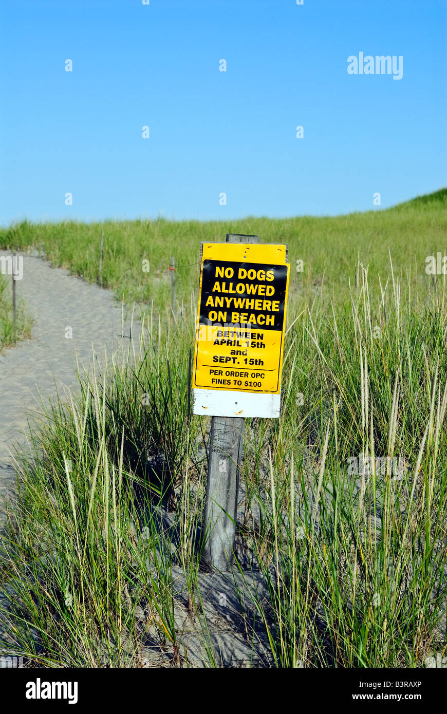Segnale di avvertimento che vieta il cane a camminare sulla spiaggia, Cape Cod National Seashore, Nauset Beach, Cape Cod, MA, Stati Uniti d'America Foto Stock