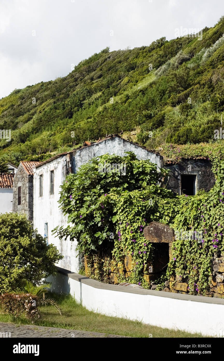 Tradizionale antica casa in rovina in Lages do Pico Azzorre Portogallo Foto Stock