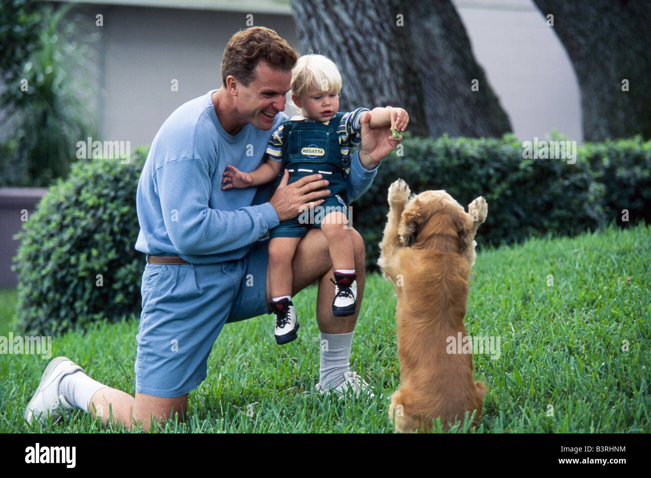 Padre e figlio giovane giocare con il cane di famiglia, Miami Foto Stock