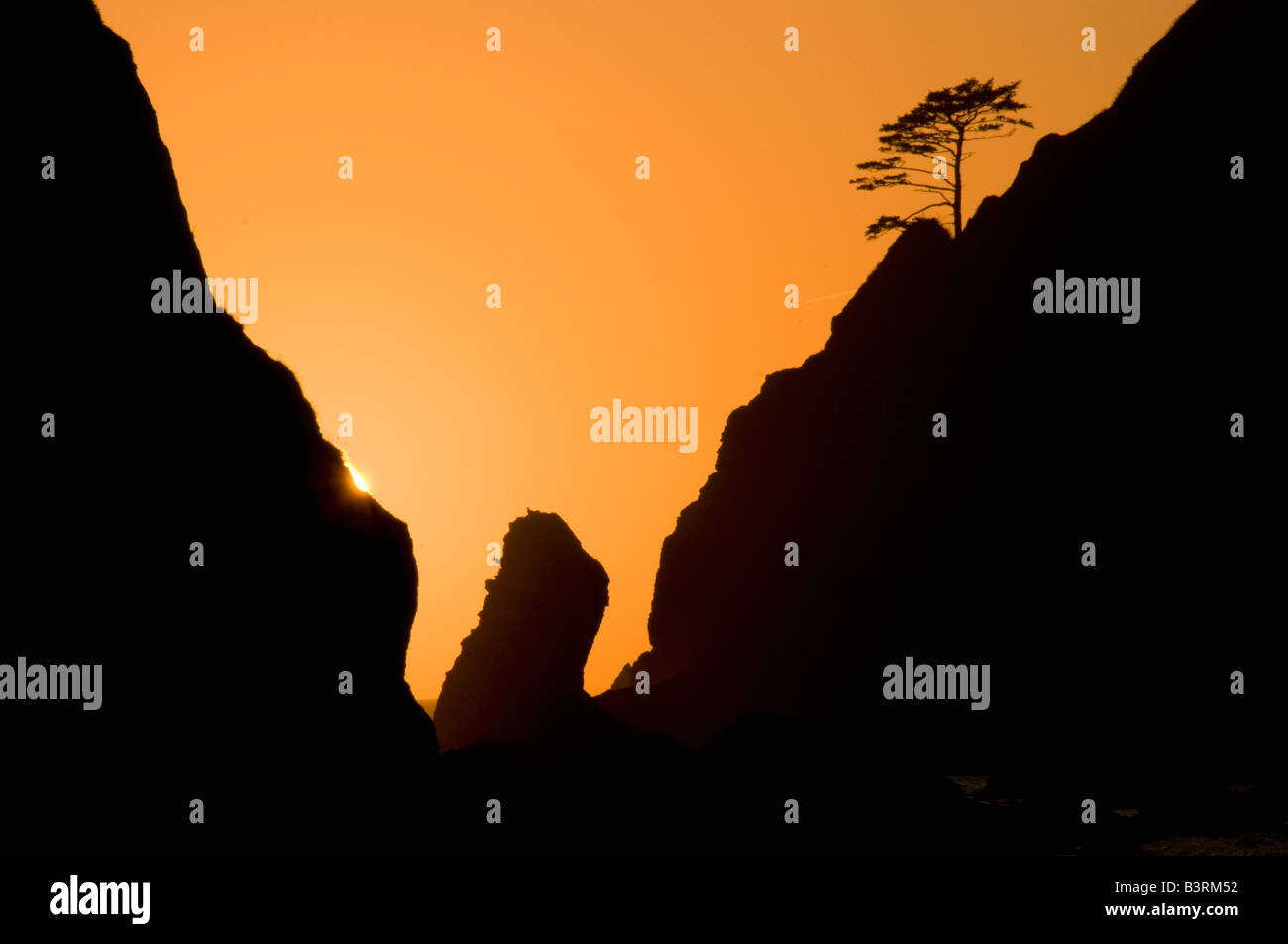 Washington, il Parco Nazionale di Olympic, Shi Shi Beach, Seastacks vicino al punto di archi al tramonto Foto Stock