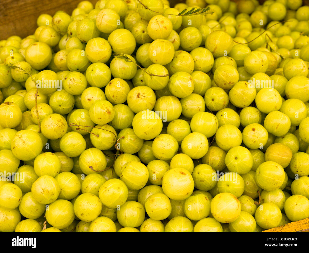 Frutta, Kerala, India Foto Stock