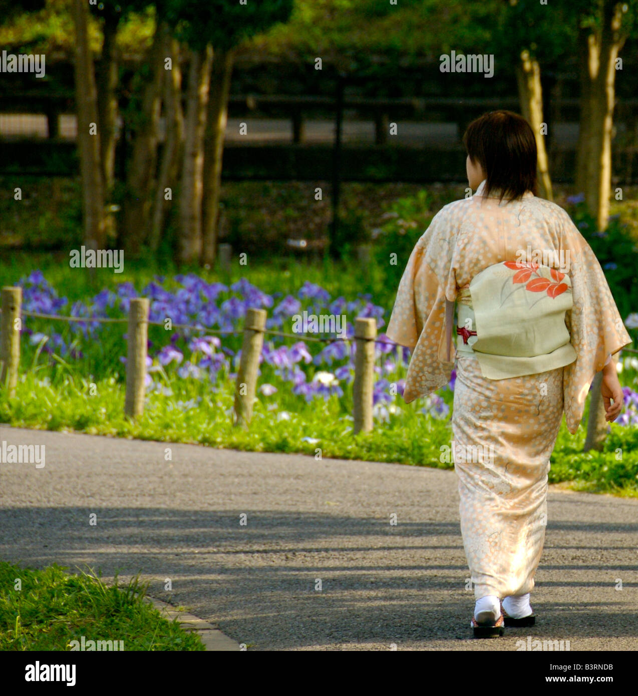 Donna che indossa un kimono camminare nel giardino dell'Iris - Mizumoto Park, Tokyo, Giappone Foto Stock