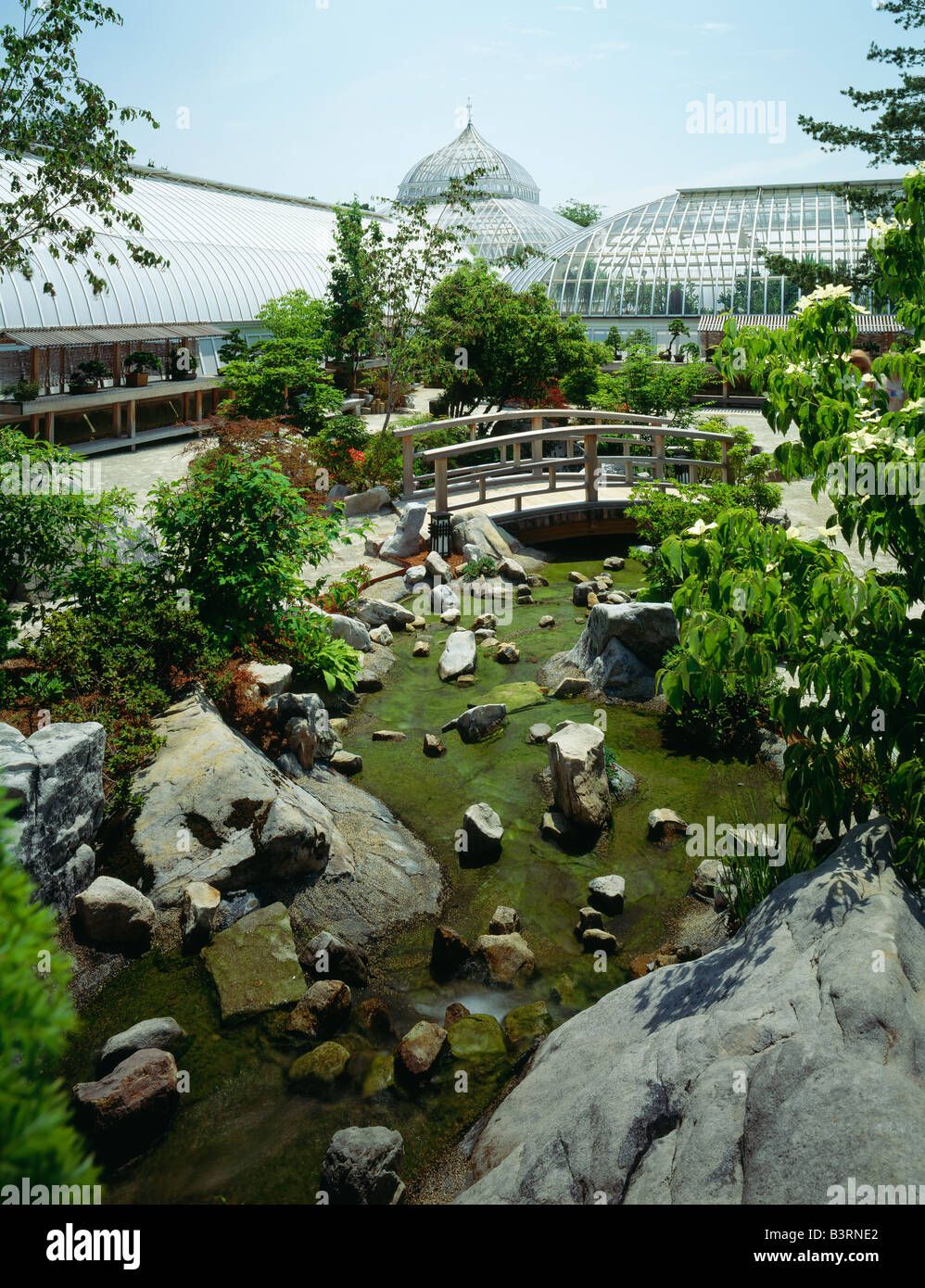 Giardino giapponese; PHIPPS conservatorio, SCHENLEY PARK DI PITTSBURGH, in Pennsylvania, Stati Uniti d'America Foto Stock