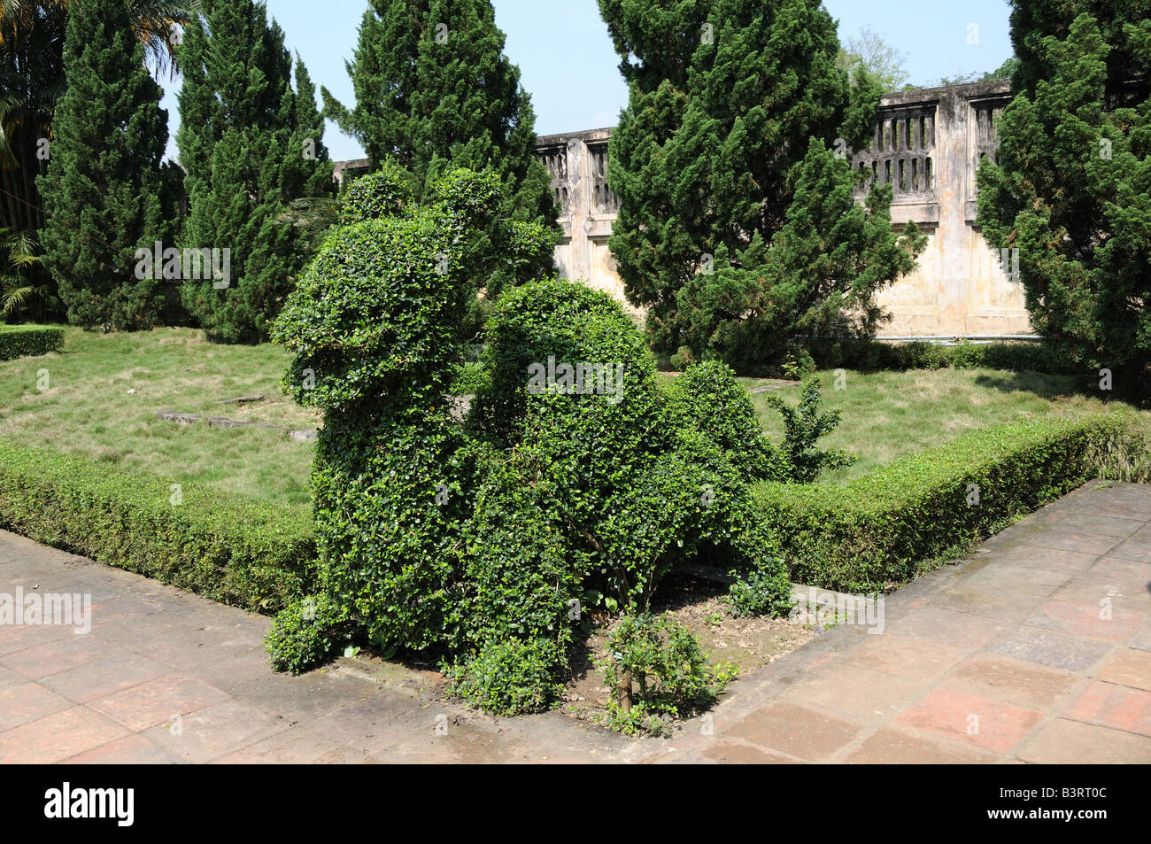 Topiaria da nella forma di un drago città imperiale antica cittadella Hue Vietnam Foto Stock
