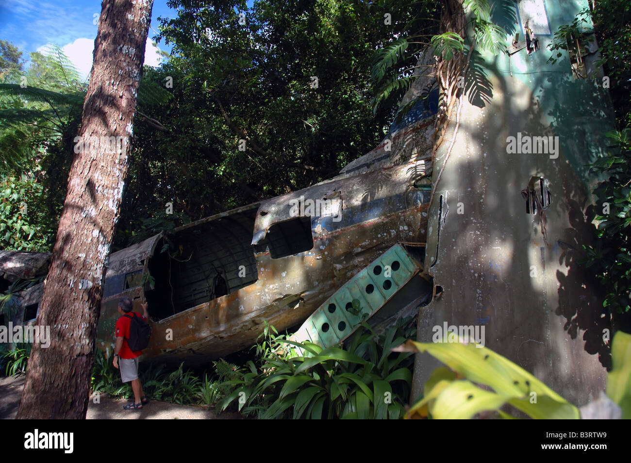 Ispezione turistica scatafascio DC3 aeromobili nella foresta a Kuranda North Queensland Signor n. PR Foto Stock
