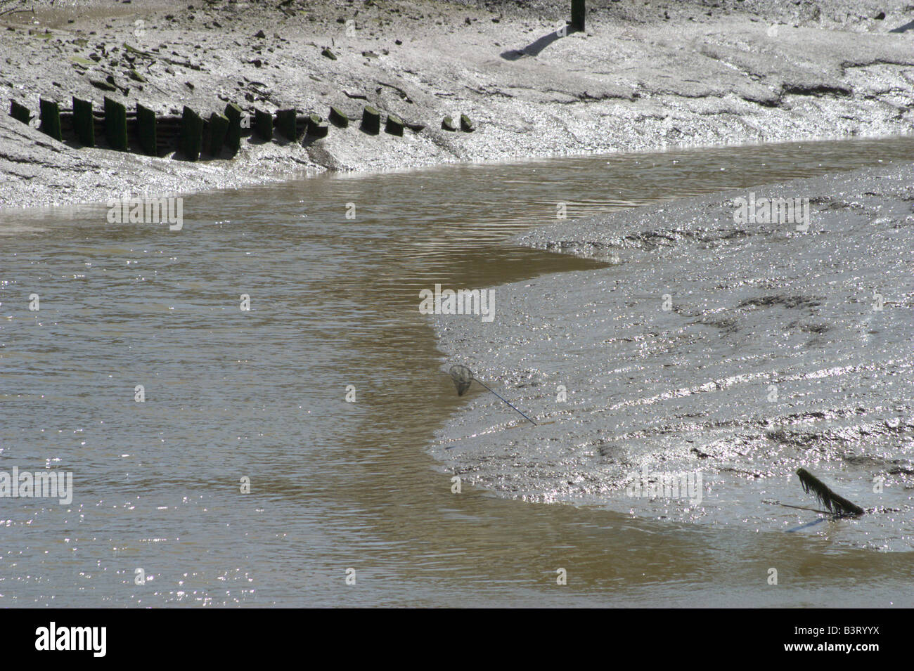 La riflessione di limo fango di marea flusso siccità bassa marea segala east sussex Foto Stock