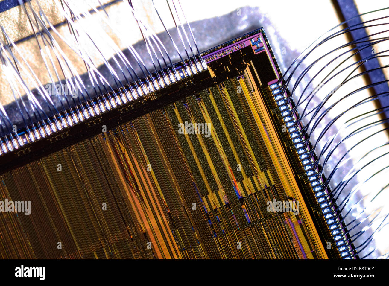 Close up di un Intel Pentium microprocessore chip di silicio Foto Stock