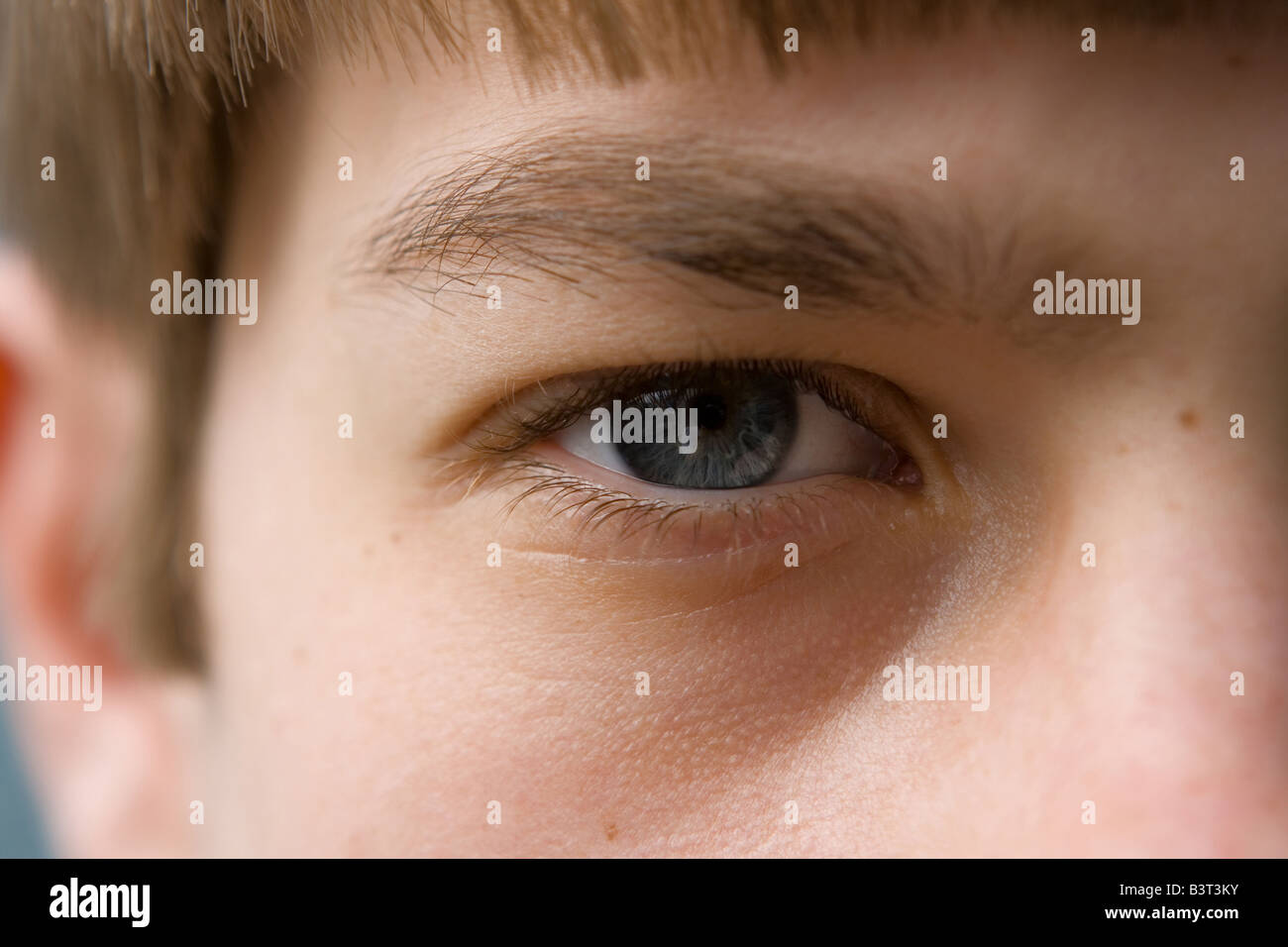 Un occhio di luce naturale Foto Stock