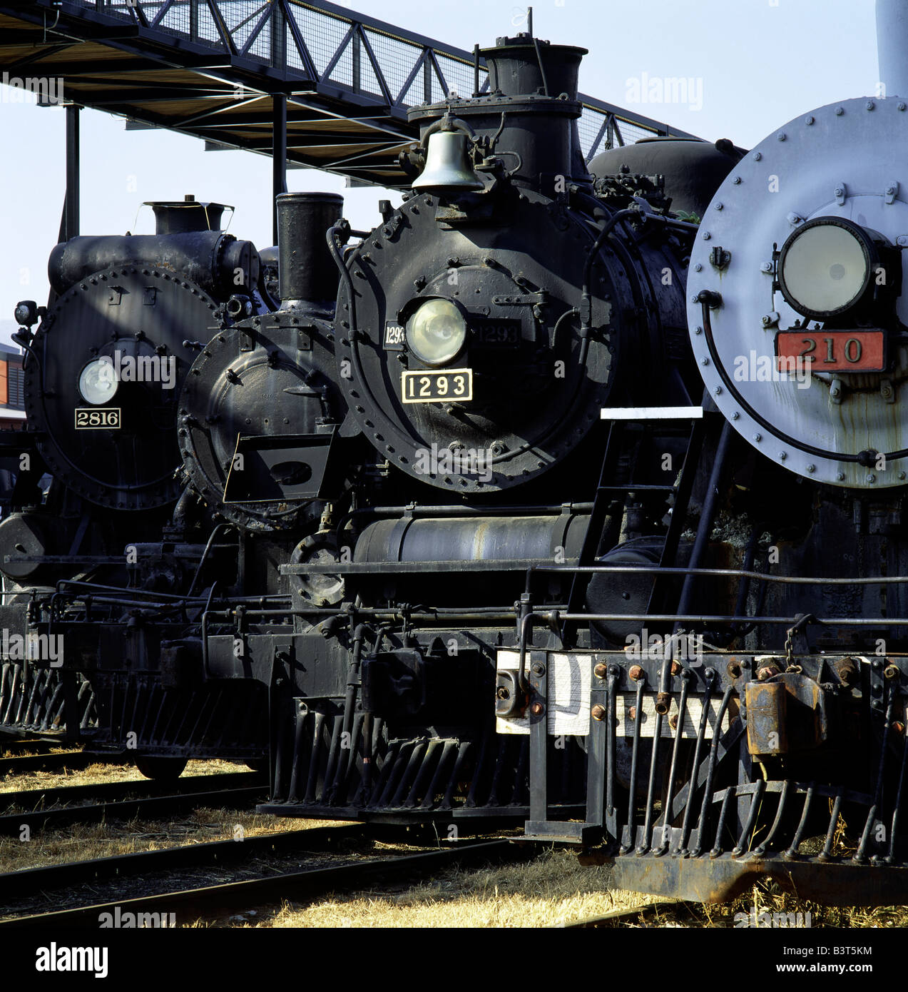 Locomotive a STEAMTOWN sito storico nazionale; più grande collezione di locomotive NEGLI STATI UNITI. SCRANTON, Pennsylvania, Stati Uniti d'America Foto Stock