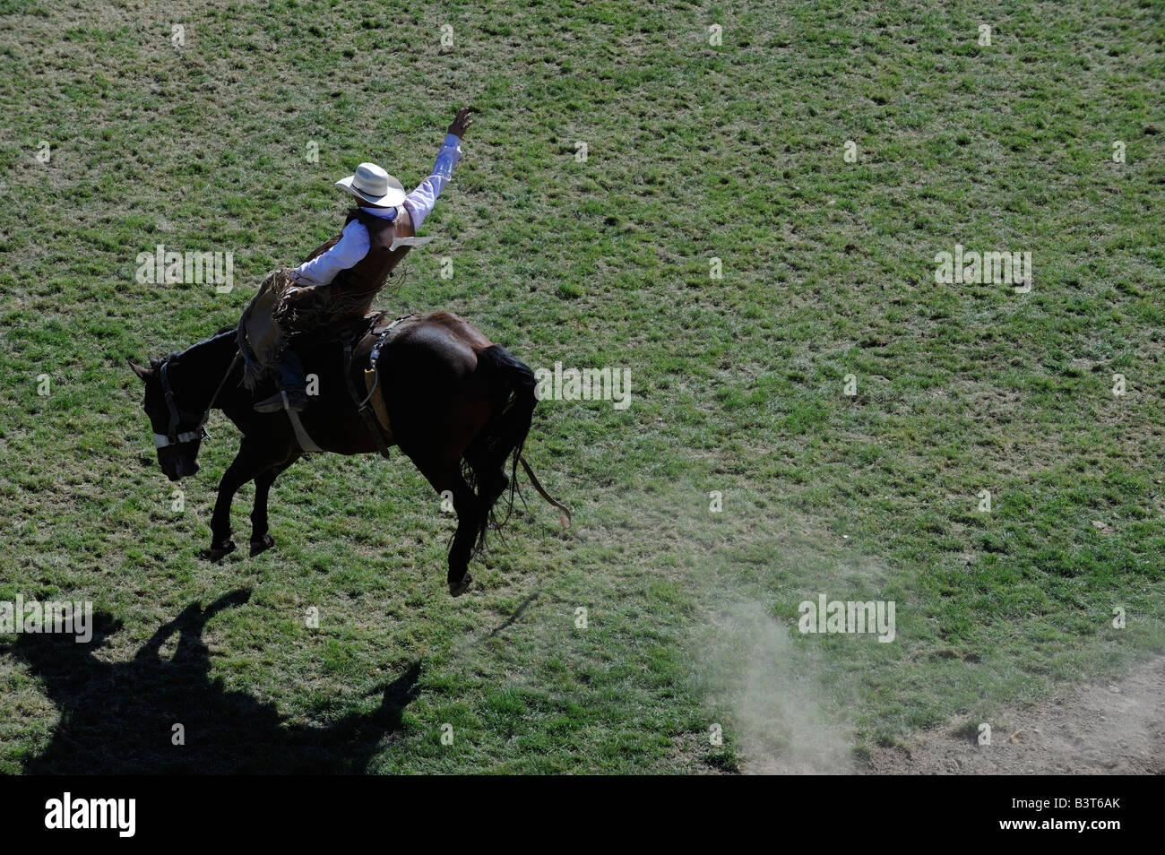 Professional rodeo cowboy Saddle Bronc bronco cavallo tutti i piedi da terra wild ride dura wiley cavallo insolitamente difficile Foto Stock