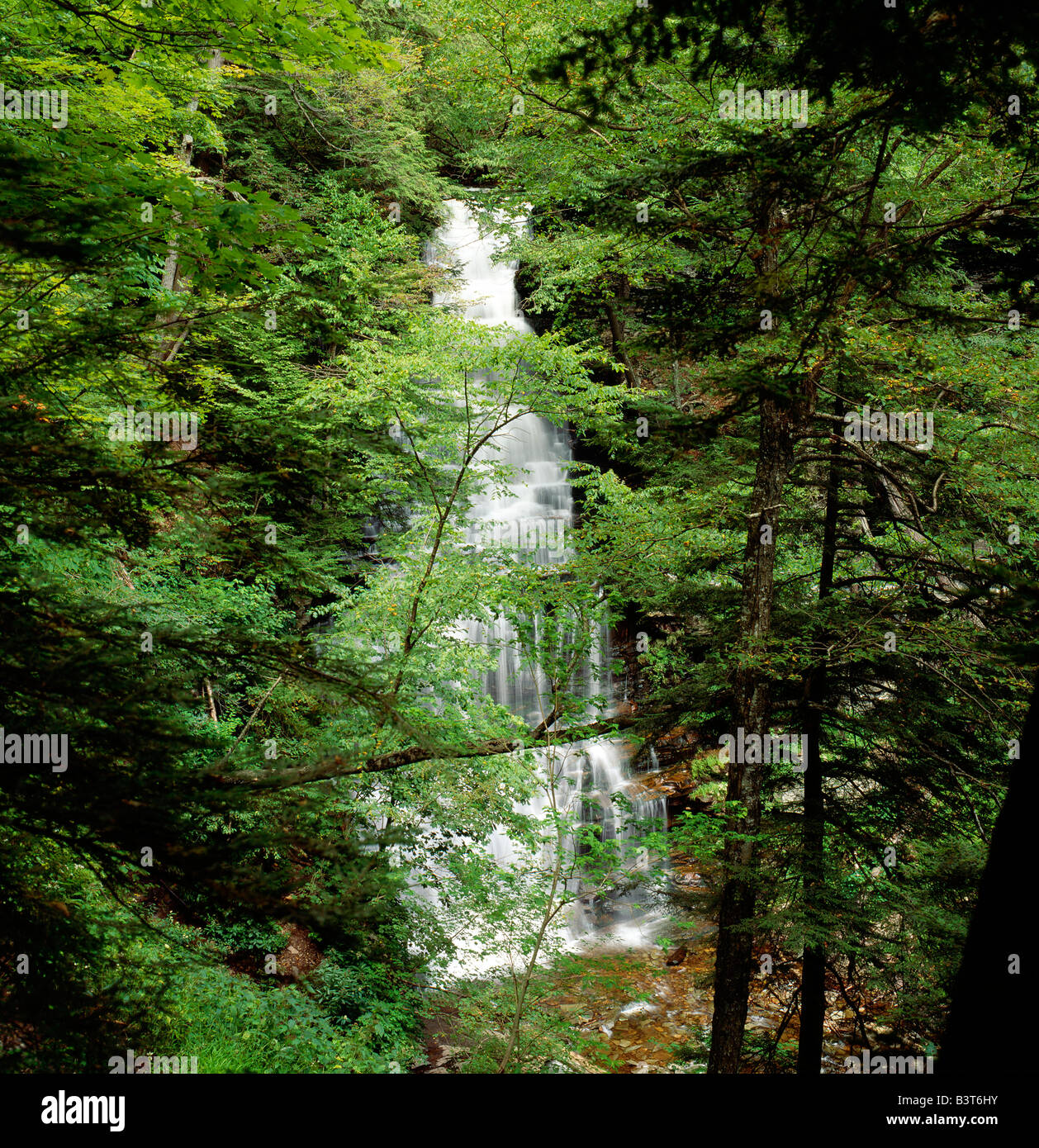 GANOGA FALLS (94'), Ricketts Glen State Park (13,050 acri), Pocono Mountains, Pennsylvania, Stati Uniti d'America Foto Stock