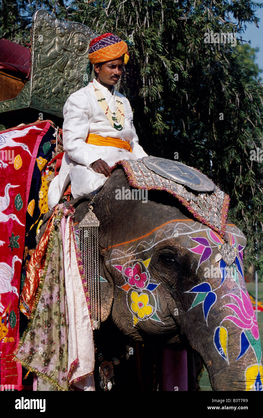 India Rajasthan, Jaipur. Caparison ornati, howdah e decorazione dipinta su  elefante a elephant polo match, Jai Mahal Palace Hotel Foto stock - Alamy
