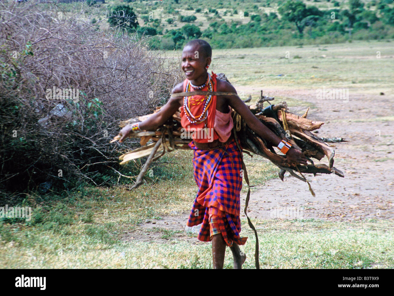 Africa, Kenia Masai Mara National Wildlife Reserve. Masai donna porta legna da ardere. Foto Stock