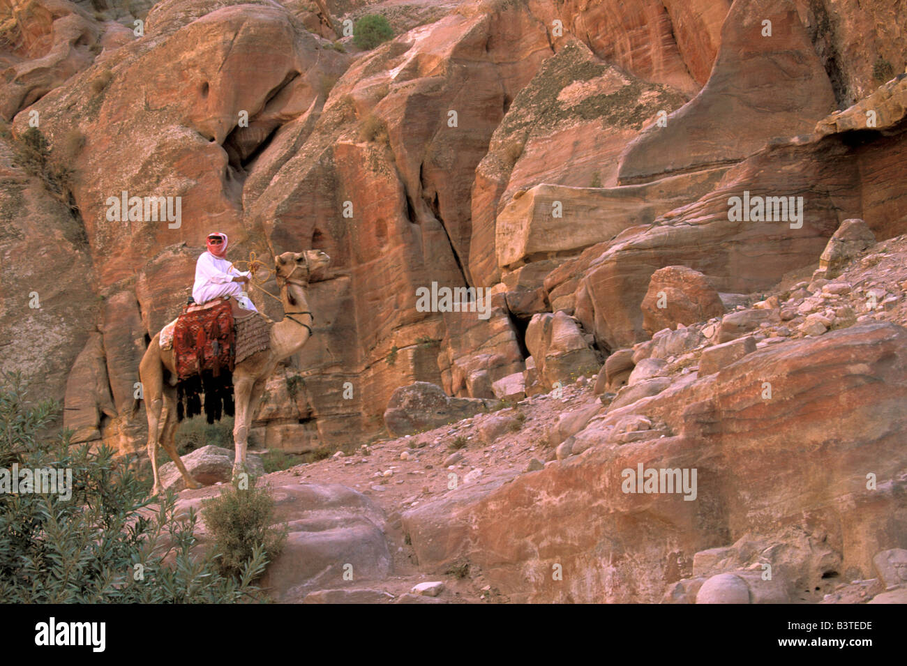 Asia, Giordania Petra. Uomo locale sul cammello. Foto Stock