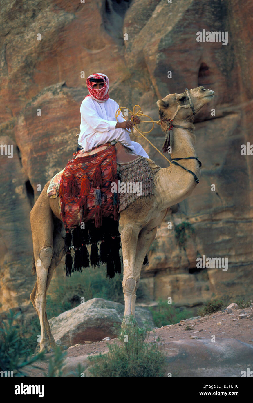 Asia, Giordania Petra. Uomo locale a dorso di cammello vicino rovine. Foto Stock