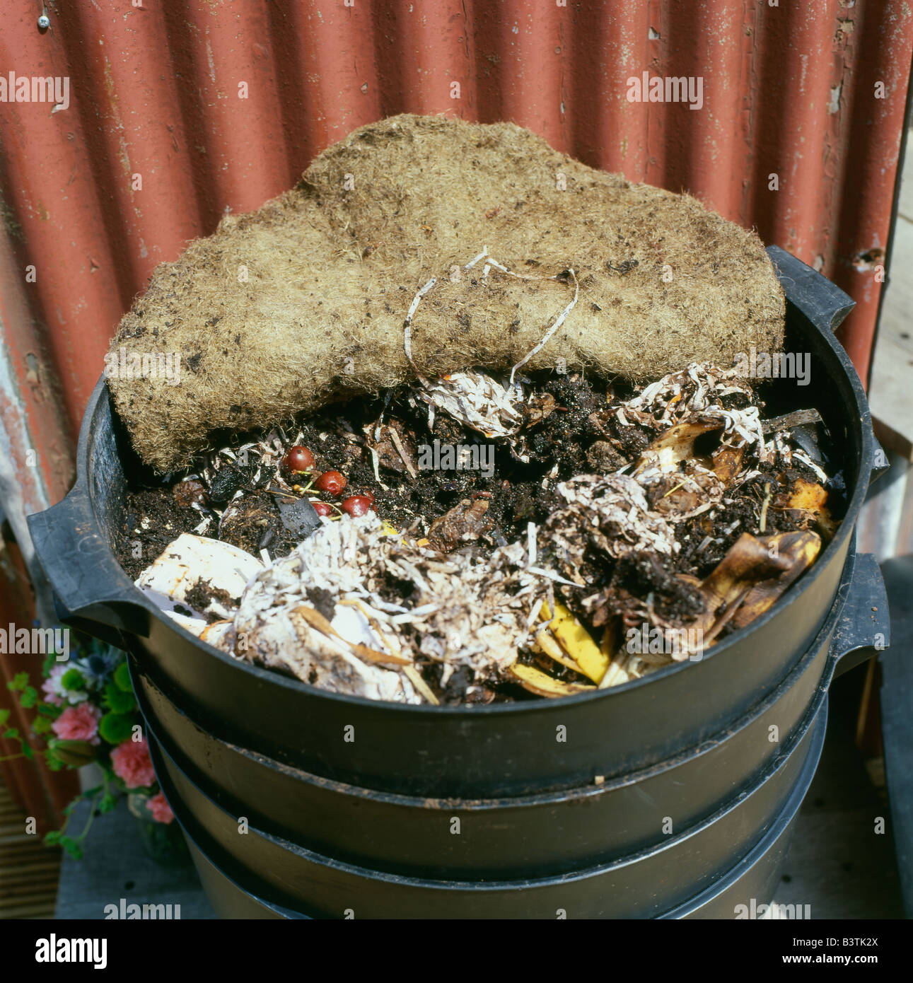 Il rivestimento in feltro sul compost wormery worm cassone sollevato indietro per esporre la decomposizione di rifiuti vegetali contenuti del contenitore Wales UK KATHY DEWITT Foto Stock