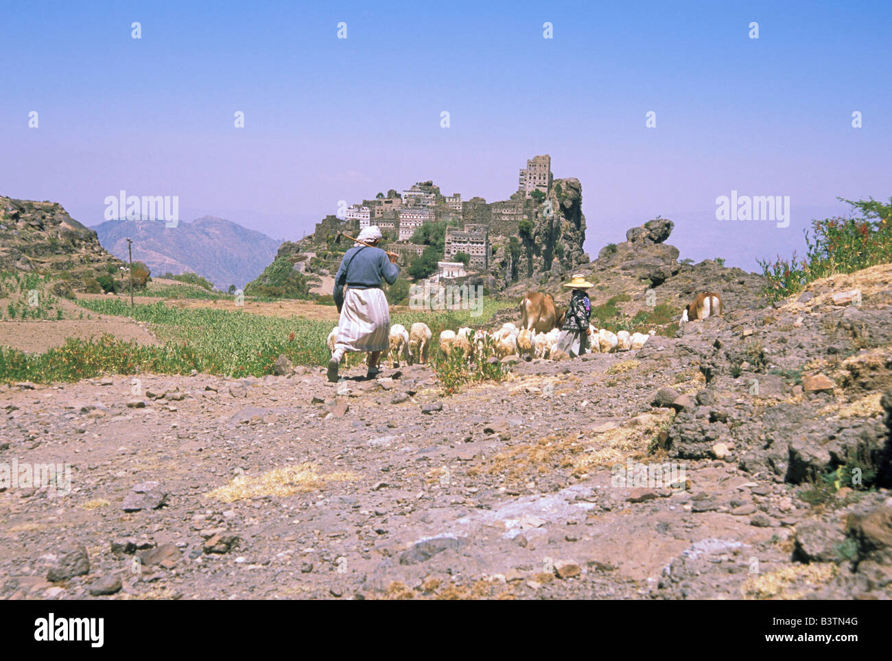 Asia, Yemen, Haraz montagne. Sheepherder e vista di Kahil. Foto Stock