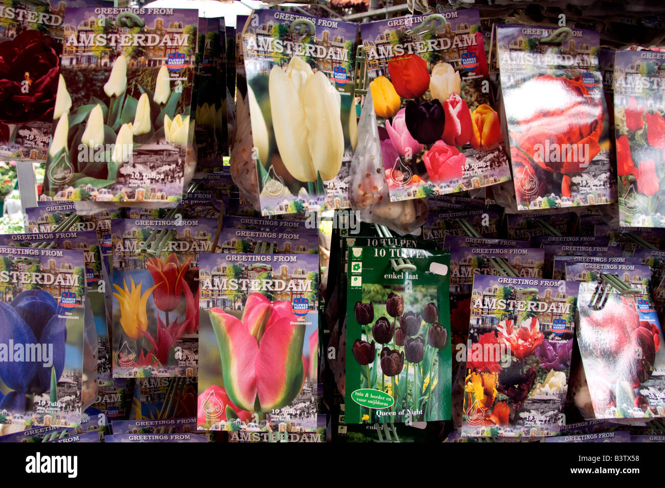 Paesi Bassi (aka Holland), Amsterdam, Bloemenmark. Confezioni di bulbi di tulipani. Foto Stock