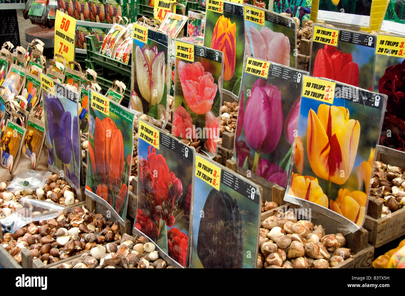 Paesi Bassi (aka Holland), Amsterdam. Bloemenmark (aka floating flower market). Confezioni di bulbi di tulipani. Foto Stock