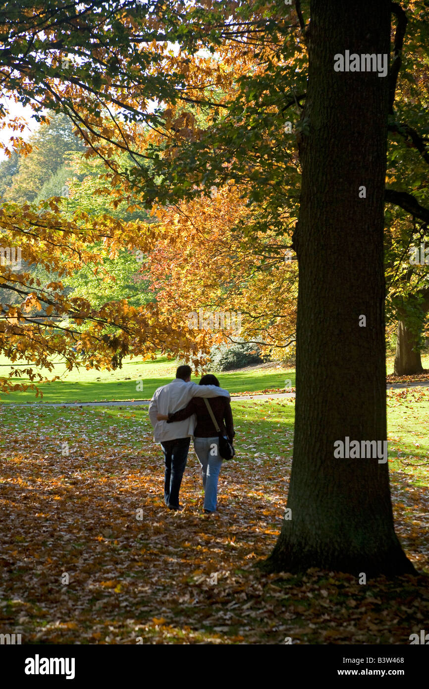 Promenader in amore in una passeggiata attraverso la foresta autunnale in un tedesco parc verliebte Spaziergänger herbstlichen im Wald Foto Stock