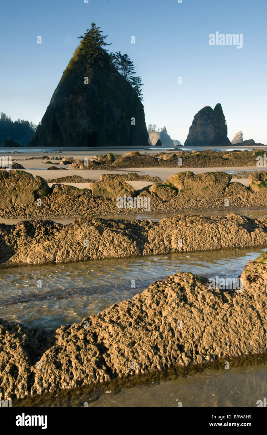 Seastacks e rocce a bassa marea, Punto di archi, Shi Shi Beach, Parco Nazionale di Olympic Washington Foto Stock