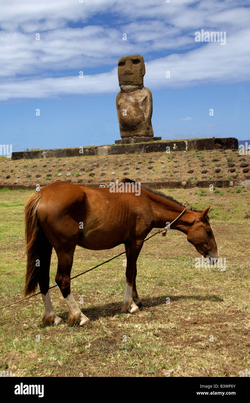 Cile, l'Isola di Pasqua (aka Rapa Nui), Hanga Roa. Tradizionale di pietra Moai. Foto Stock