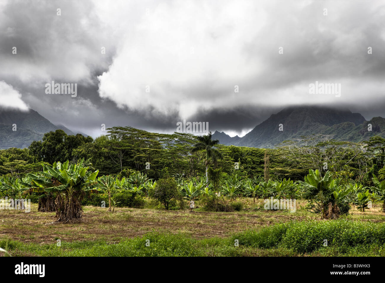 Paesaggio vicino Kualoa Ranch Oahu Oceano Pacifico Hawaii USA Foto Stock