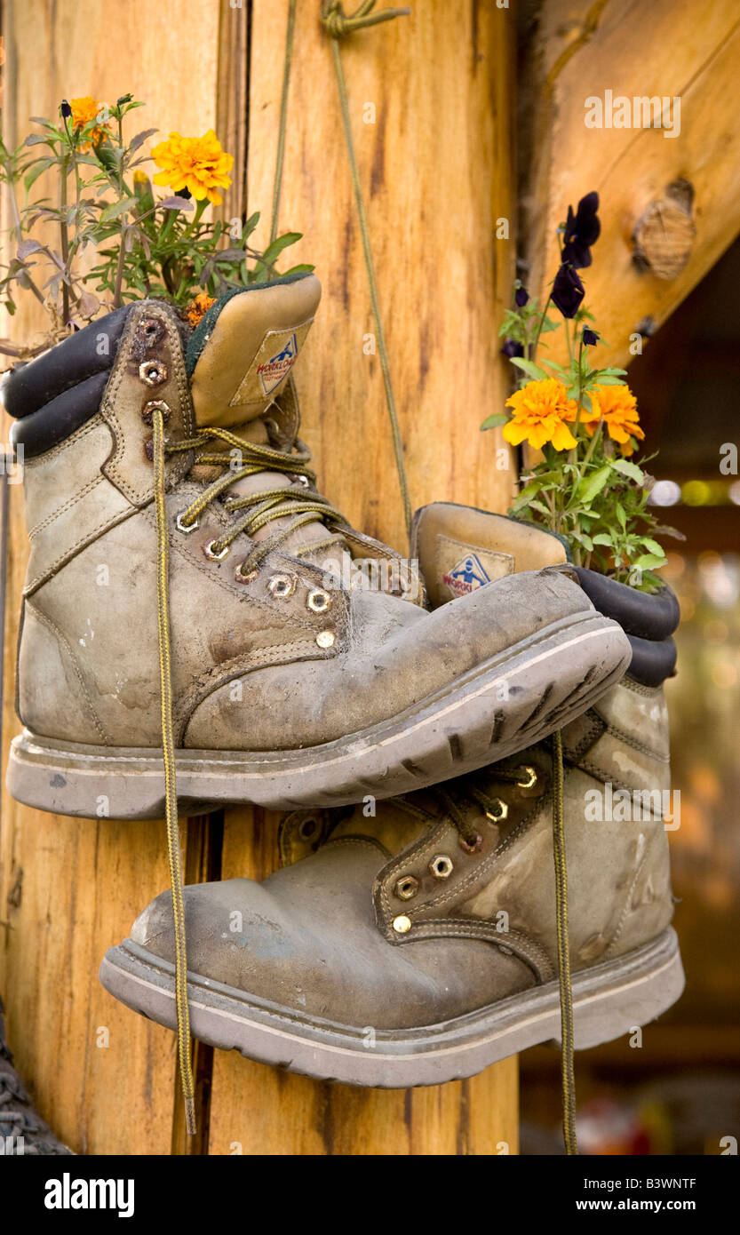 Stati Uniti d'America, Alaska, Talkeetna. Una coppia di vecchi indossato  scarpe da trekking piantati con le calendule Foto stock - Alamy
