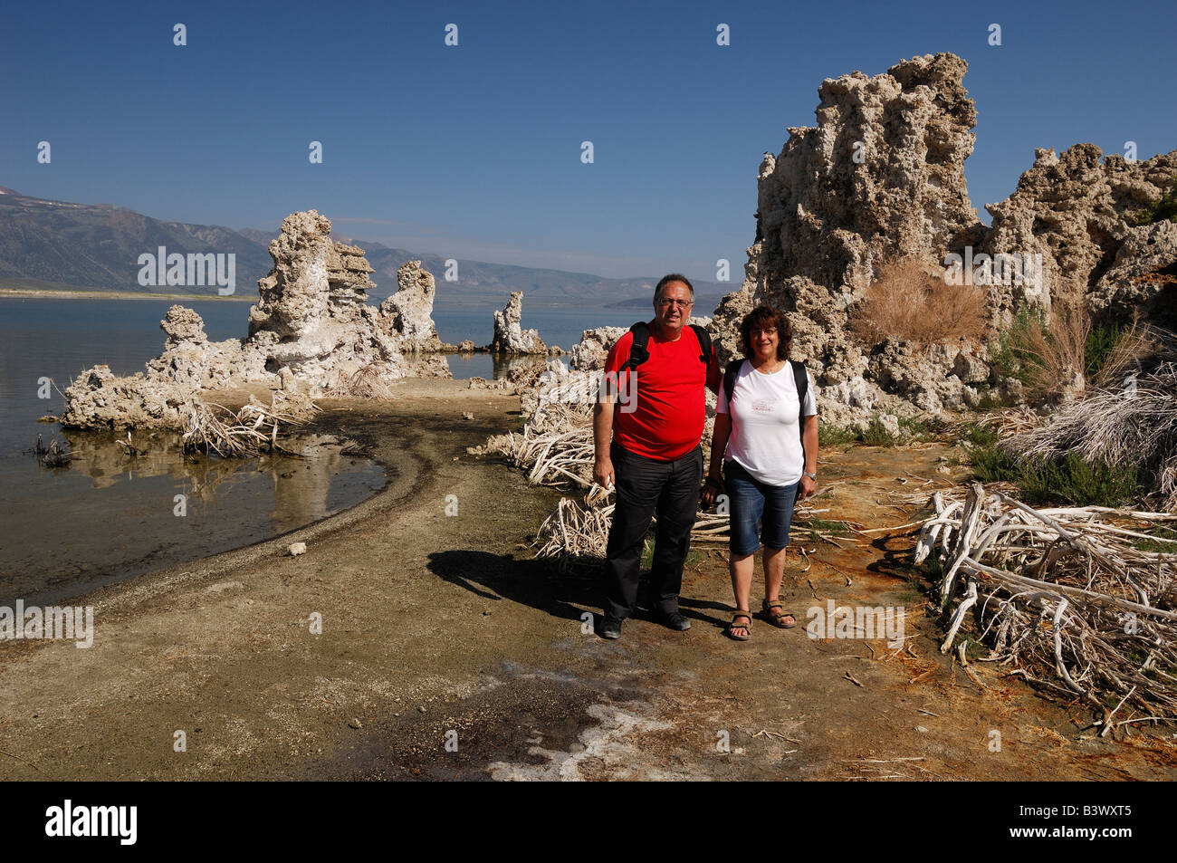 Panorama generale del Lago Mono Foto Stock