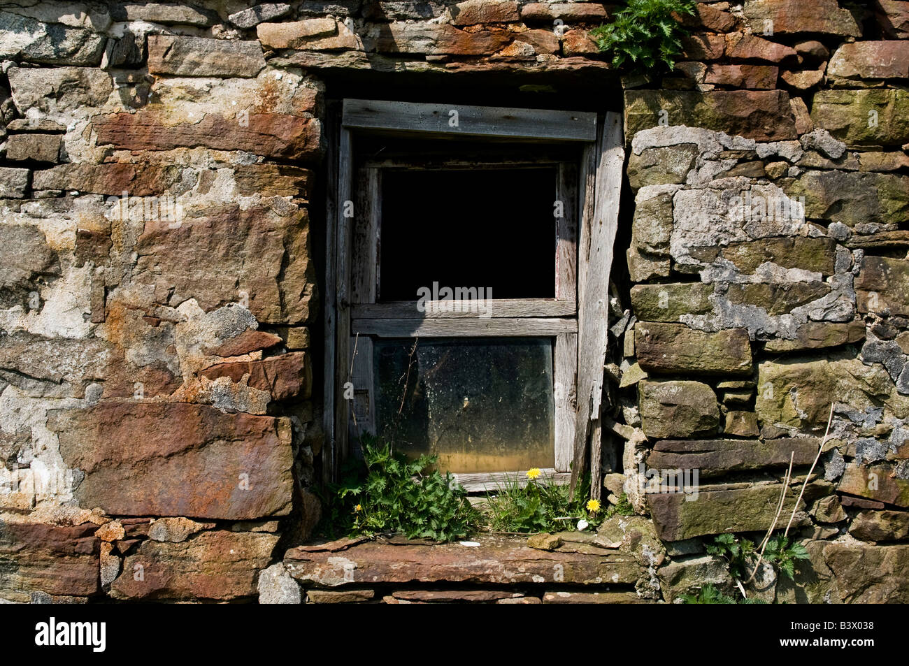 Vecchia finestra e parete del Croft di abbandonato casa ora utilizzato come animale granaio, Durness, Scozia Foto Stock