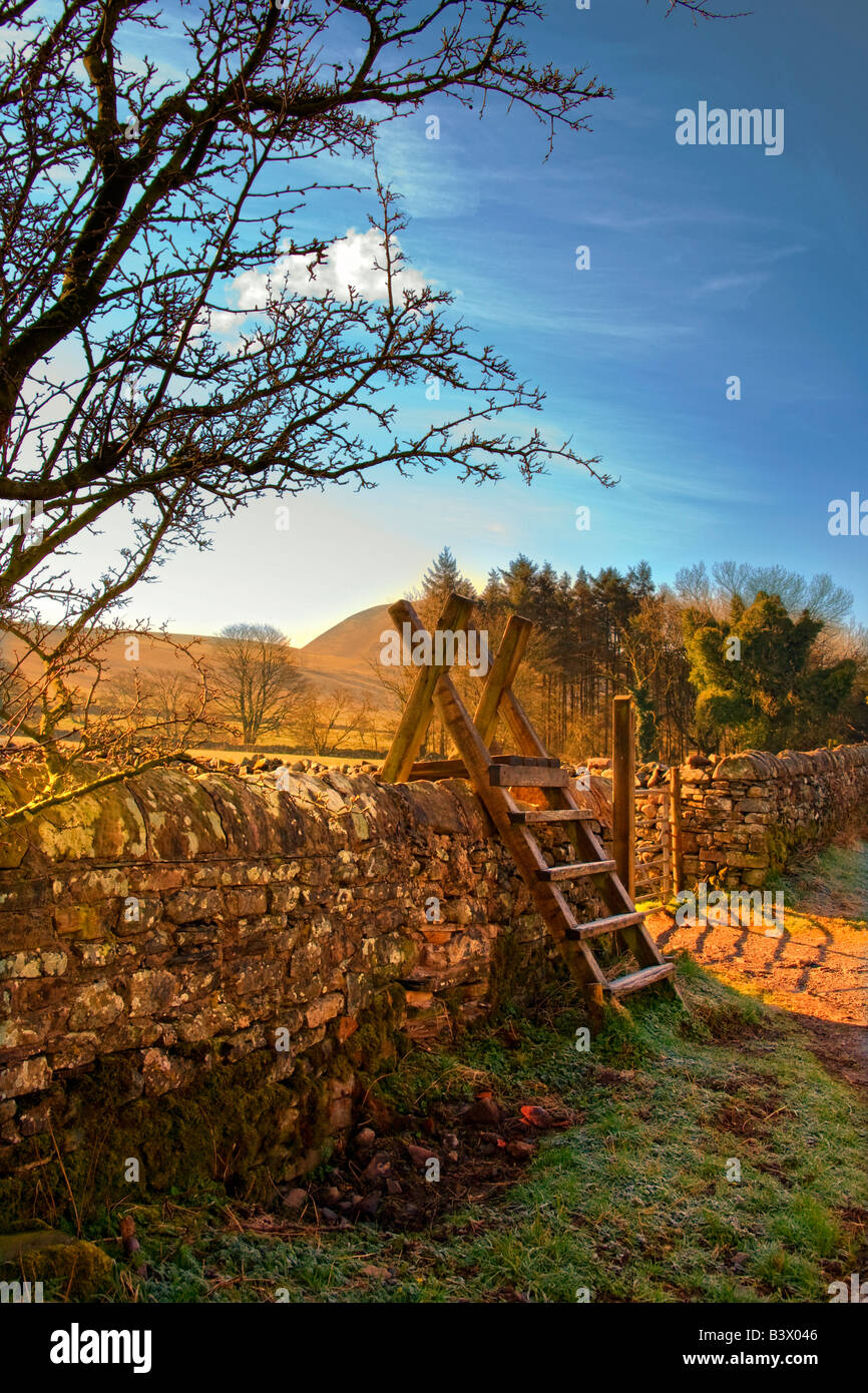 Scaletta oltre il muro di pietra, Lake District, Cumbria, England, Regno Unito Foto Stock