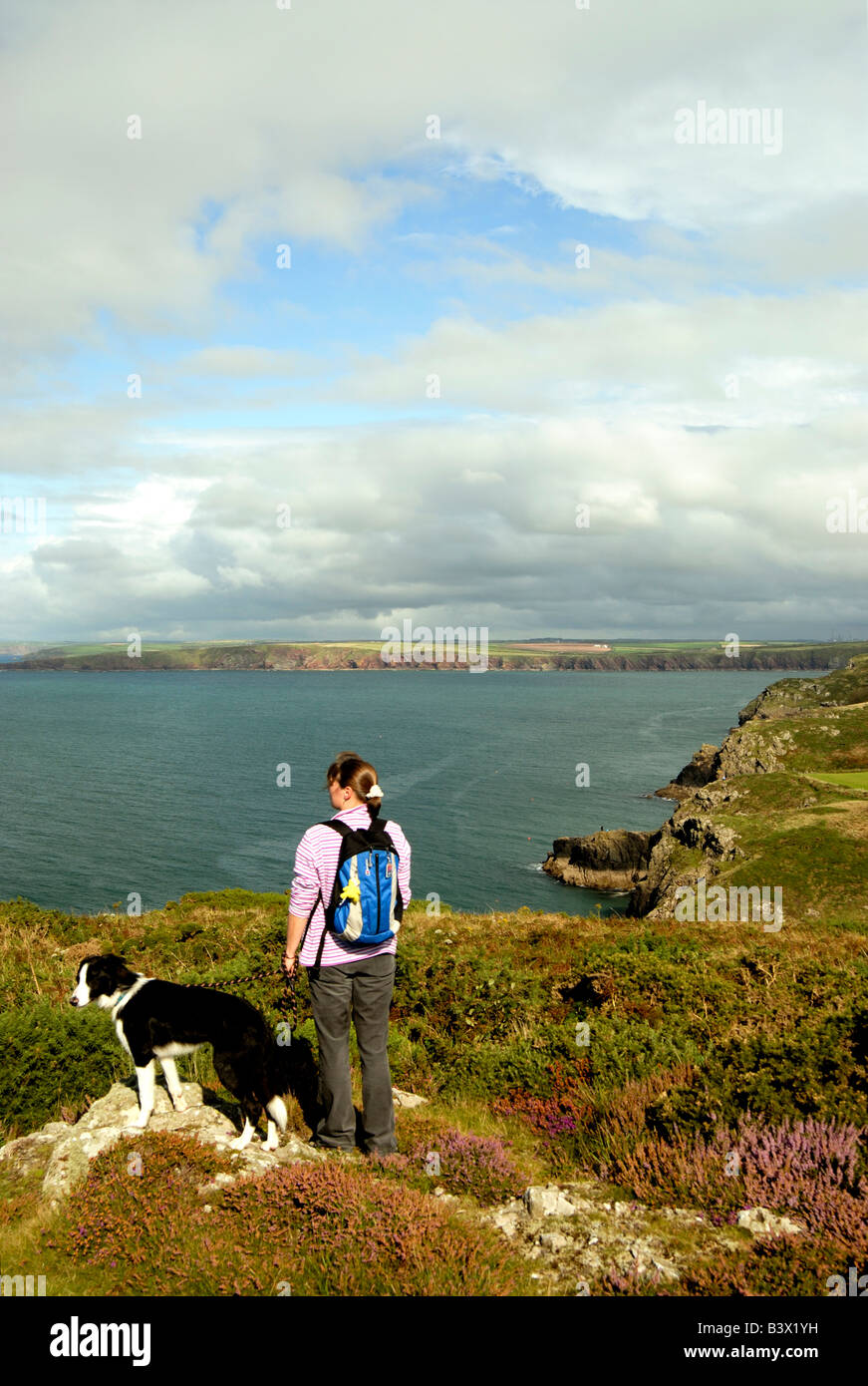 Guardando sopra St Brides Bay Deer Park vicino a Martins Haven Pembrokeshire Foto Stock