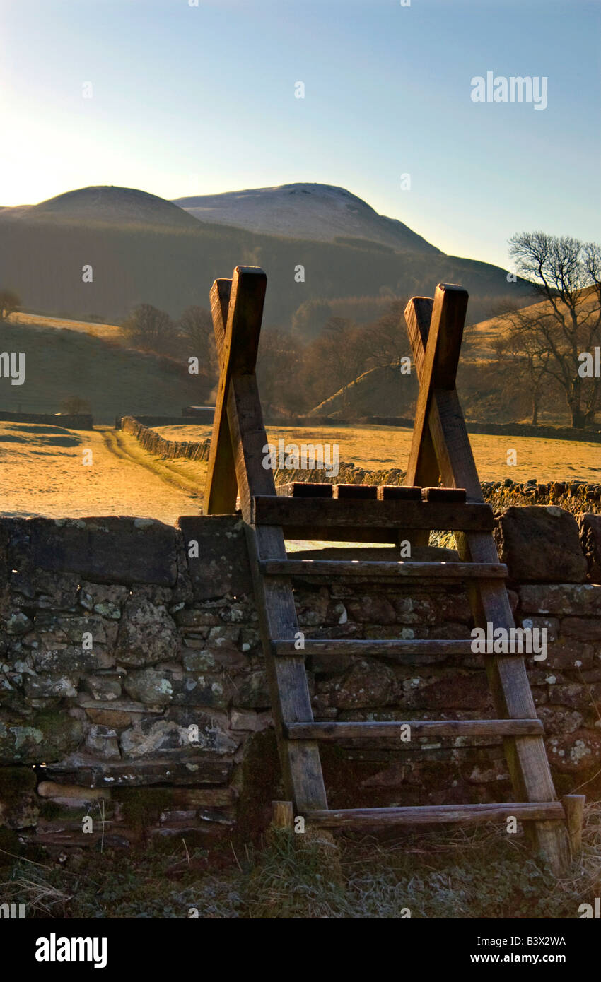 Scaletta oltre il muro di pietra, Lake District, Cumbria, England, Regno Unito Foto Stock