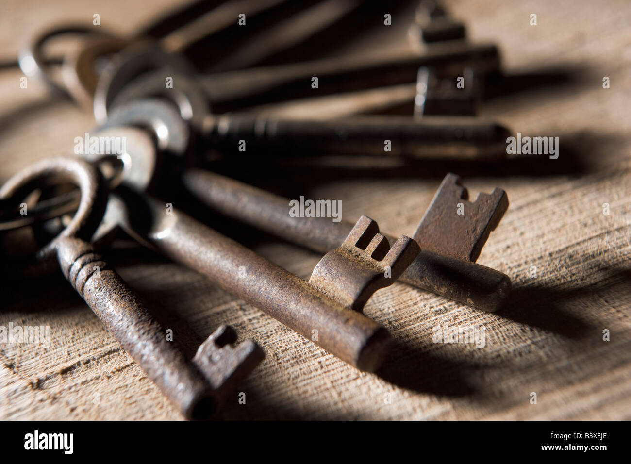Anello di vecchie chiavi Foto Stock