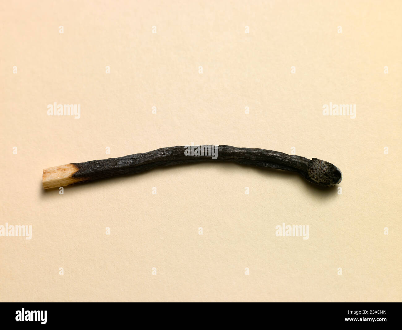 Matchstick bruciato Foto Stock